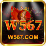 W567 Game