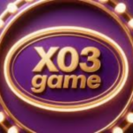 X03 Game
