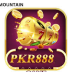 PK8888 Game